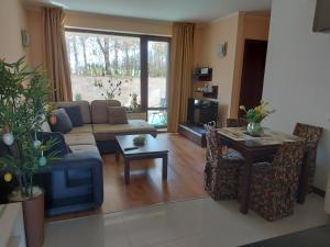 Posezení v ubytování Terra complex -D6 - Balkan private apartment-Spa Sking Golf and Relax
