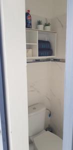 a bathroom with a toilet and a shelf with plants at studio Blue Honey 972 in Quartier Châteauboeuf