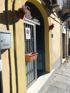 a door of a building with a flower pot on it at La civita 1 in Catania
