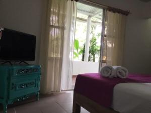 a bedroom with a bed and a tv and a window at Finca Ecoturistica San Javier in Ibagué