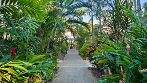 Сад в Coral Sands Beachfront Resort