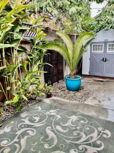 a garden with a plant in a blue pot at Stunning, Quiet Vista Retreat Minutes from Beach in Vista +8 photos