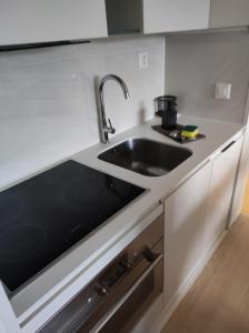 Kuchyň nebo kuchyňský kout v ubytování Wunderschönes Apartment direkt am See, Bissone bei Lugano/Tessin