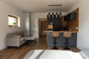 a kitchen and living room with a bar and a couch at Andrea 's 4 seasons in Albrechtice v Jizerských horách