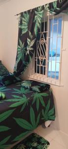 Fotografie z fotogalerie ubytování Multiple Holiday Rooms in Port Morant St Thomas Jamaica v destinaci Bowden