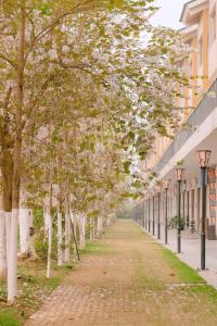 a tree lined street with a row of buildings at Khoáng nóng Wyndham Thanh Thủy Onsen in La Phu
