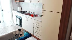 Kuchyňa alebo kuchynka v ubytovaní Rogoredo Apartments + 22 fotografií