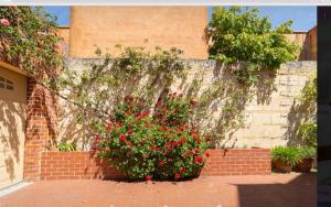 Κήπος έξω από το Quite rooms in a quite street in Perth City +23 φωτογραφίες