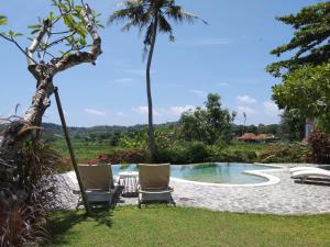a resort pool with two chairs and a palm tree at Villa With Stunning Paddy Field Views - Kasongan Yogyakarta in Jarakan