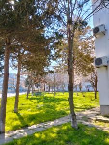 a park with green grass and trees next to a building at Studioul vacanțelor din Saturn 2 in Saturn +8 photos