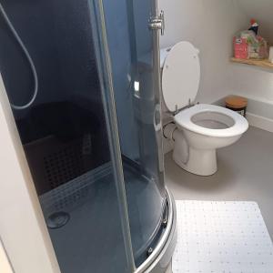 a bathroom with a toilet and a glass shower at Petite maison tranquille in Pleugriffet +10 photos