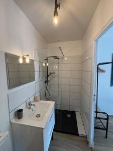 a bathroom with a sink and a shower at Les Hulottes - Sur la route du Mont-St-Michel in Céaux