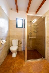 Un baño con inodoro y ducha de cristal. en Apartamenty Mewa, en Jantar