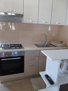 Kuchyň nebo kuchyňský kout v ubytování Apartman Barbir