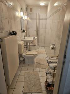 ein Badezimmer mit Toilette und Waschbecken in der Unterkunft Bremens Herz Weser und Stadion in Bremen