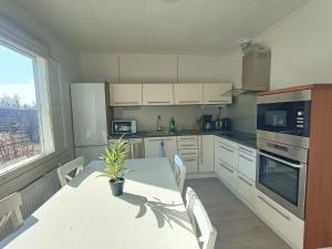 科科拉Koivukuja的厨房里摆放着盆栽植物的桌子