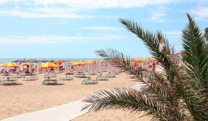 Afbeelding uit fotogalerij van Custodisca Hotel Evolution in Cesenatico +31 foto's