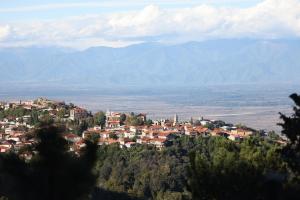 Paesaggio naturale nelle vicinanze dell'hotel