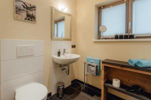 a bathroom with a sink and a toilet and a mirror at Residenz Max mit eigenem Garten in Seefeld in Seefeld in Tirol +12 photos