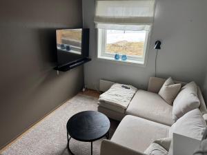 un soggiorno con un divano e una TV di Casa Kvaløya a Tromsø