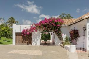 Ogród w obiekcie La Manga Club Resort - Individual Villa 524