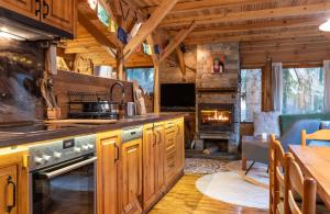 a kitchen with a stove and a fireplace at Life House-Semkovo in Semkovo