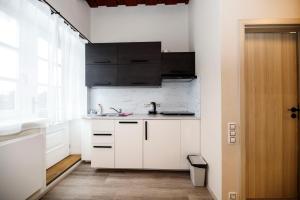 Kuchyň nebo kuchyňský kout v ubytování Aparthotel Panorama