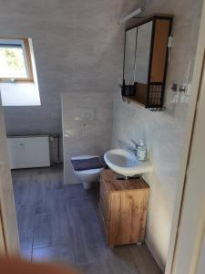 a bathroom with a sink and a toilet and a mirror at Ferienwohnung am Backhaus 5 in Weimar