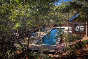 a swimming pool in the middle of a yard with trees at Miombo Mountain Lodge and Spa in Pearson Settlement