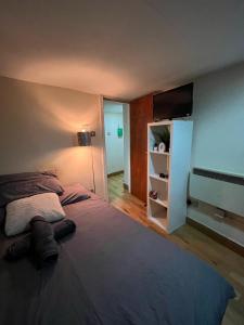a bedroom with a large bed and a tv at Electric Eve in London +6 photos