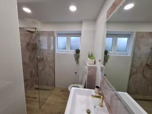 a bathroom with a shower and a sink at Apartman Ladini Lana in Starigrad-Paklenica +31 photos