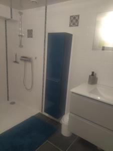 a bathroom with a shower and a toilet and a sink at Mini gite 1à4 personnes Studio 7 in Gelles +3 photos