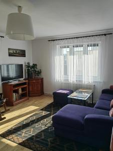 a living room with a blue couch and a tv at Apartament Mickiewicza in Rumia