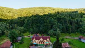 an aerial view of a house in the middle of a forest at Green Mountain Resort in Scrind-Frăsinet