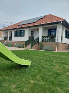 a slide in the grass in front of a house at Pinkó Vendégház in Noszvaj
