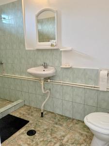 a bathroom with a sink and a toilet at Casa Elenisse in 2 Mai