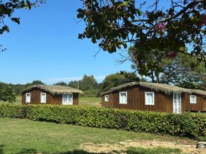 two houses in a field with grass roofs at Chalet en bois in Labatut