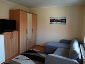 Televízia a/alebo spoločenská miestnosť v ubytovaní Madách Apartman