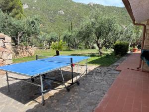 - une table de ping-pong bleue dans une cour arborée dans l'établissement L'Hermitage- Monte Argentario, à Monte Argentario