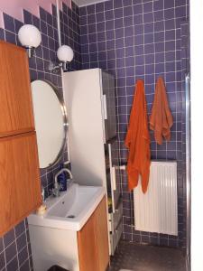 a bathroom with a sink and a mirror at Séjour Agréable Tout Confort avec Parking in Liège