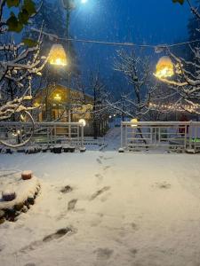 MountRush Adventures Manali talvel