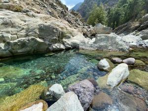 a stream of water with rocks in a canyon at Appartement Ajaccio in Ajaccio