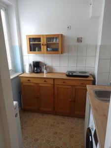 een kleine keuken met houten kasten en een spoelbak bij Sybel in Berlijn