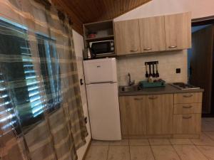 a small kitchen with a refrigerator and a sink at Apartmani Škrnjug in Brzac +51 photos