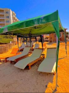 a group of lounge chairs under a green umbrella at Aquarium Seaview accomodations in Hurghada