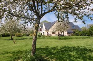 a white house with a tree in a field at Le Clos des Pommiers in Tracy-sur-Mer