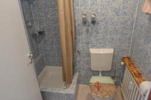 a small bathroom with a toilet and a shower at Treibholz in Norderney