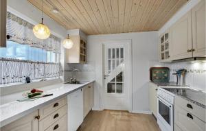 Η κουζίνα ή μικρή κουζίνα στο Holiday Home Nykobing I