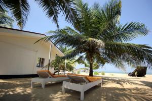 two chairs and a palm tree on the beach at Lankahuts in Negombo