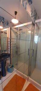 ドゥアルヌネにあるAppartement quartier des Hallesの天井の客室内のガラス張りのシャワーブースを利用できます。 +6枚の写真